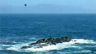 ����ǹF Ensenada