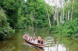  AmazonJungle 