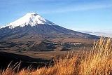  Cotopaxi