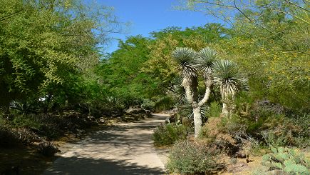 Botanical Cactus Gardens 
