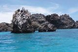  Floreana-Island