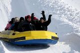  Paquete Deslizamiento en la Nieve 
