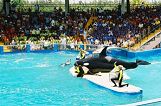 Seaquarium