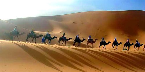 Jaisalmer