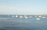  Monterey 