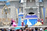  orland-disney