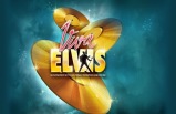 Viva Elvis Show--Cirque Du Soleil (�ߤ����֨q)